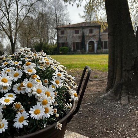 Agriturismo Corte San Girolamo Mantua Exterior foto