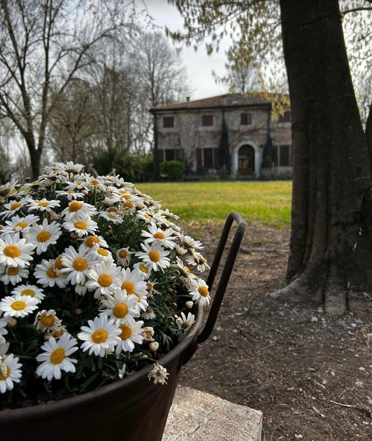 Agriturismo Corte San Girolamo Mantua Exterior foto