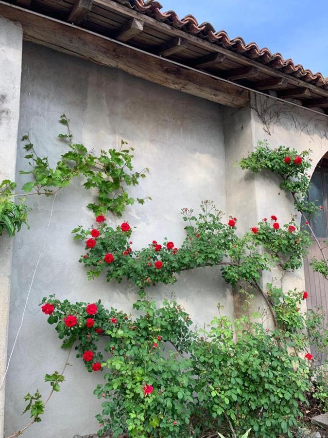 Agriturismo Corte San Girolamo Mantua Exterior foto