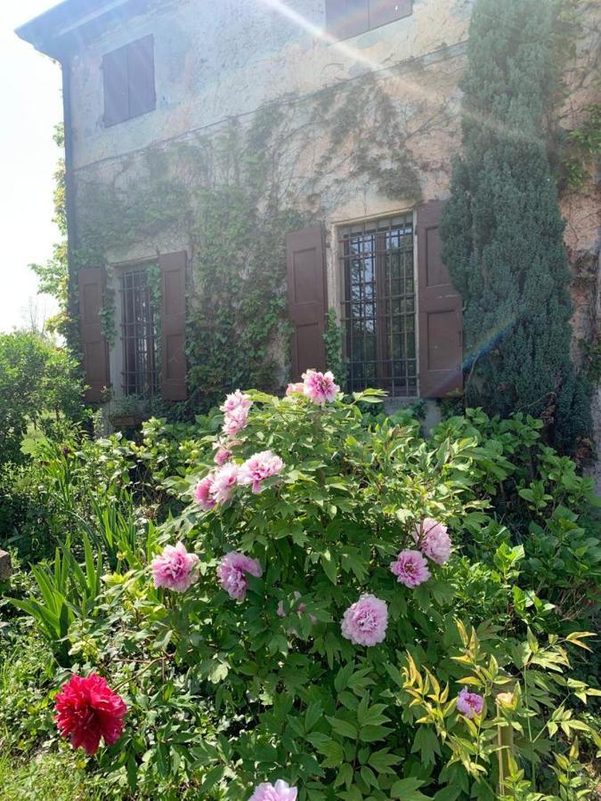 Agriturismo Corte San Girolamo Mantua Exterior foto