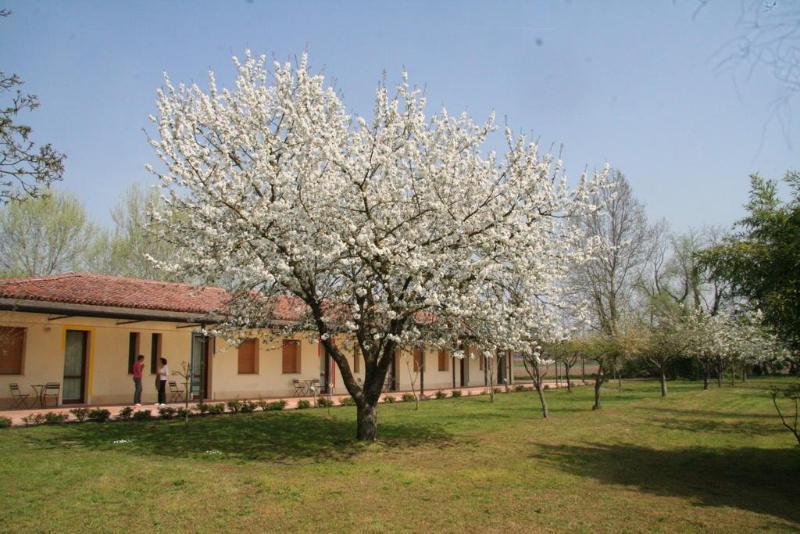 Agriturismo Corte San Girolamo Mantua Exterior foto