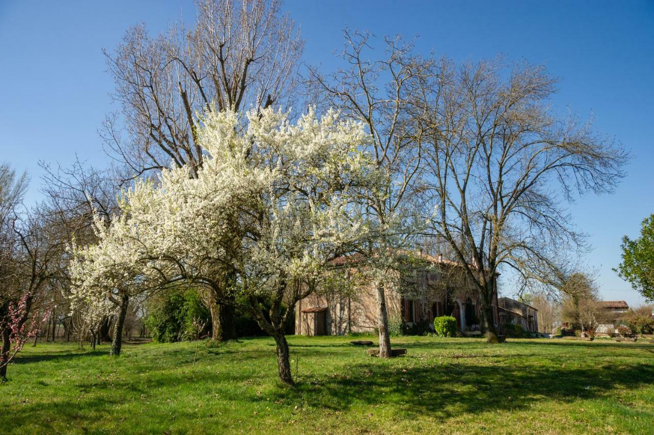 Agriturismo Corte San Girolamo Mantua Exterior foto
